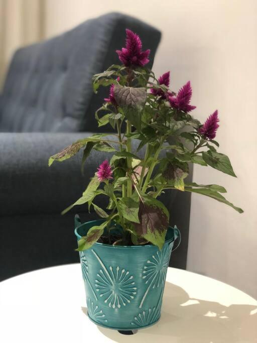 דירות Loft Lvu En סרגוסה מראה חיצוני תמונה